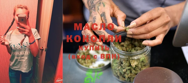 индика Богородицк