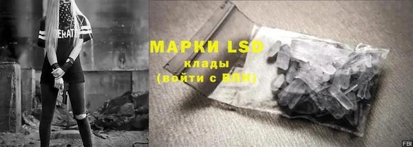 индика Богородицк