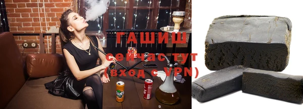 индика Богородицк