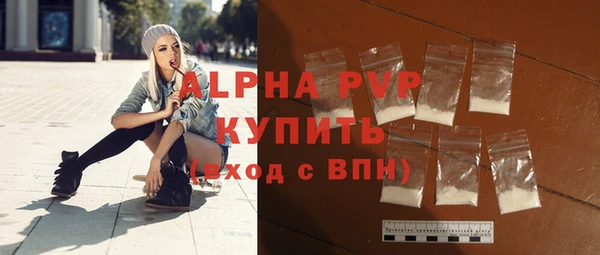 индика Богородицк