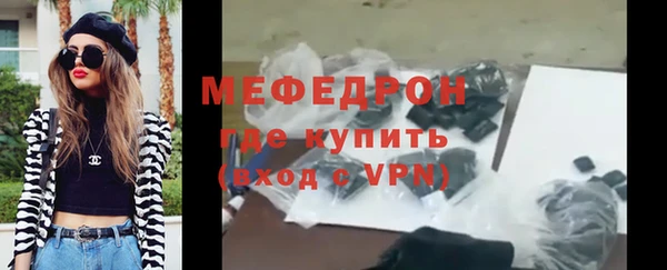 индика Богородицк