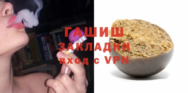 индика Богородицк