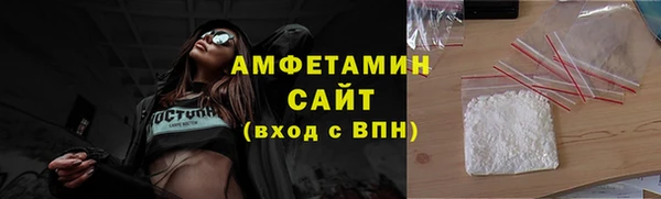 индика Богородицк
