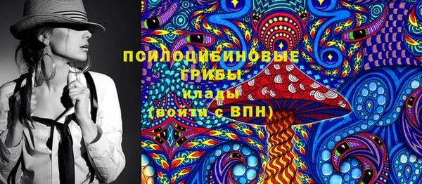 индика Богородицк