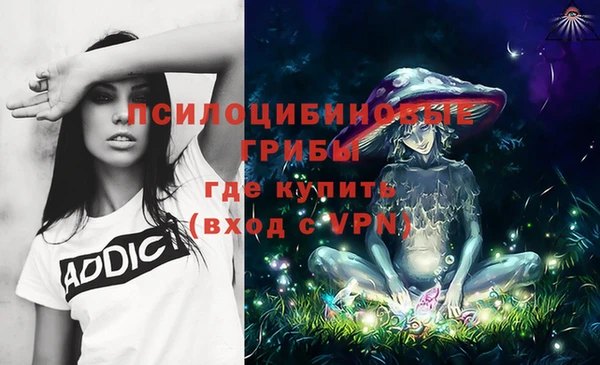 метадон Пересвет