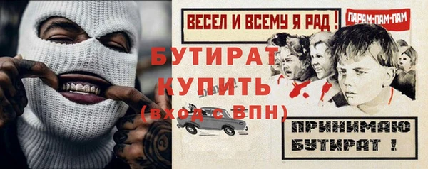 индика Богородицк