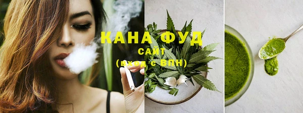 индика Богородицк