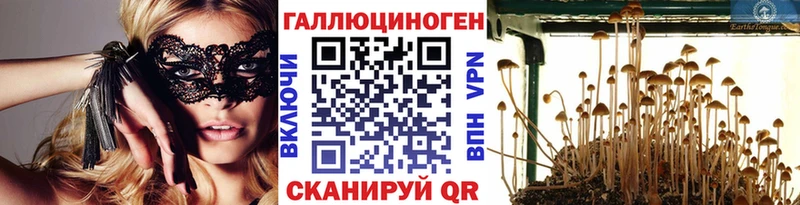 Галлюциногенные грибы Cubensis  Купить закладки  Балахна 